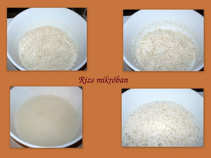 Rizs mikróban