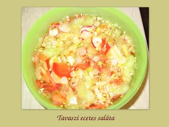 Tavaszi ecetes saláta
