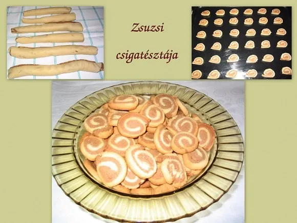 Zsuzsi csigatésztája